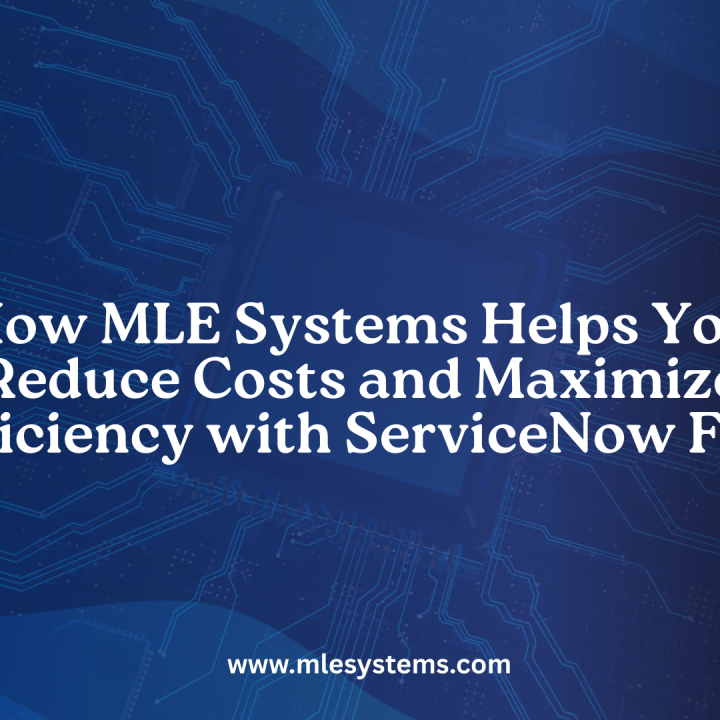 CMDB Health in ServiceNow: Best Practices for Enterprises - MLE Systems ...